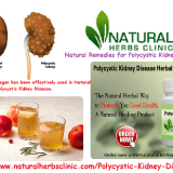 Natural-Remedies-for-Polycystic-Kidney-Disease0988bd4757fd3670