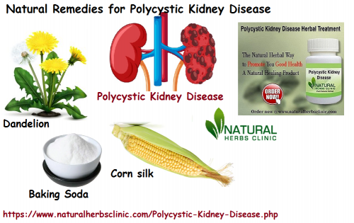 Frequently, trimmings of corn web are discarded but these can be cooperative in Natural Remedies for Polycystic Kidney Disease and urinary infections... https://www.techsite.io/p/1677144/t/try-natural-remedies-for-polycystic-kidney-disease-to-decrease-the-symptoms