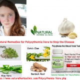 Natural-Remedies-for-Polycythemia-Vera-Herbal-Treatment