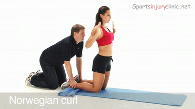 Nordic Hamstring Curl Beginner