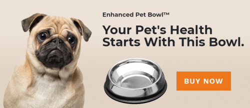 Pet-bowl0f478d53610407b9.png