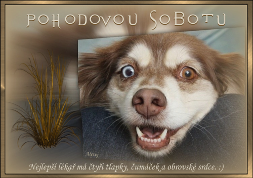 Pohodovou-sobotu.png