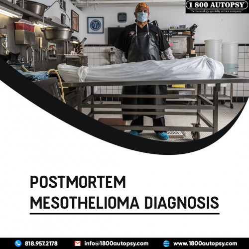 Postmortem-Mesothelioma-Diagnosis3.jpg