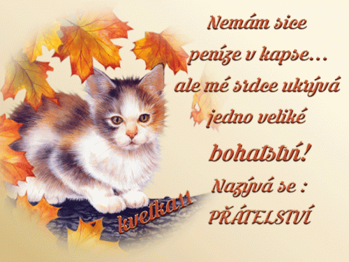 Pratelstvi.gif