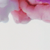 Preview_GIF__3_AdobeCreativeCloudExpress