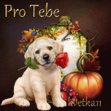 Pro-Tebe