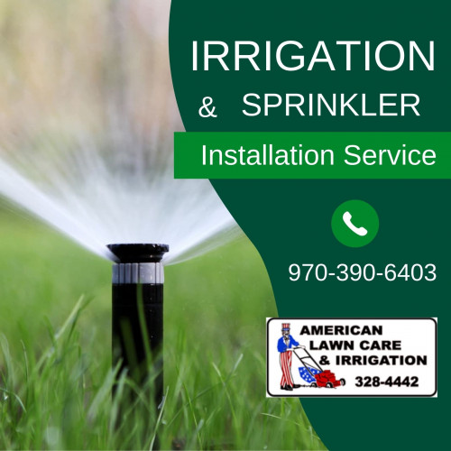 Professional-Sprinkler-System-Installation-Service.jpg