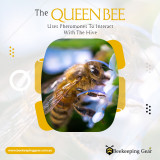 QUEEN-BEE