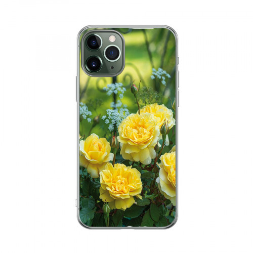 ROSES-AND-WILDFLOWERS.jpg