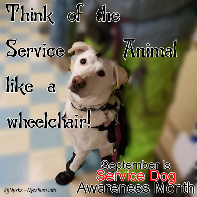 Think of the Service Animal like a wheelchair!
