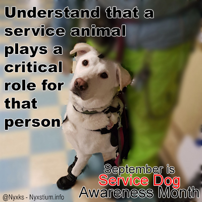 Understand that a service animal plays a critical role for that person