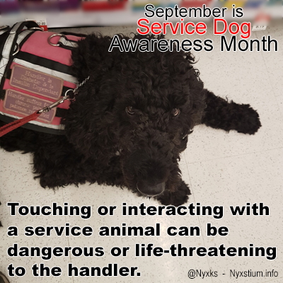 Touching or interacting with a service animal can be dangerous or life-threatening to the handler.