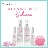 Sakura-Blooming-Bright-Set