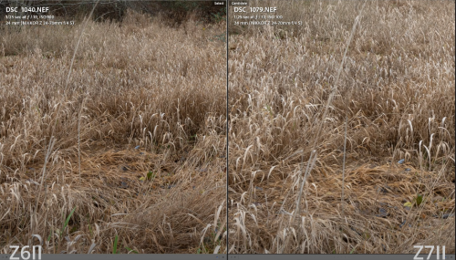 Sample-4d9cc022009794e5a.png