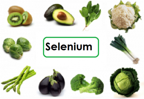 Selenium is an herbal element used in Natural Remedies for Motor Neuron Disease worldwide. Helpful properties of Selenium used in large numbers of Motor Neuron Disease Natural Treatment and many other diseases.... http://myfishbook.fr/get-better-your-quality-of-life-with-natural-remedies-for-motor-neuron-disease/