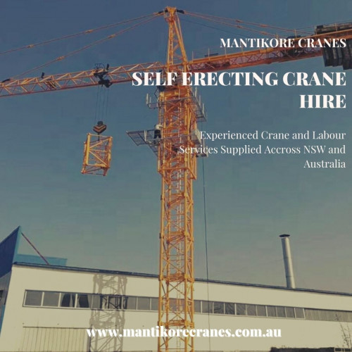 Self-Erecting-Crane-Hire-1.jpg