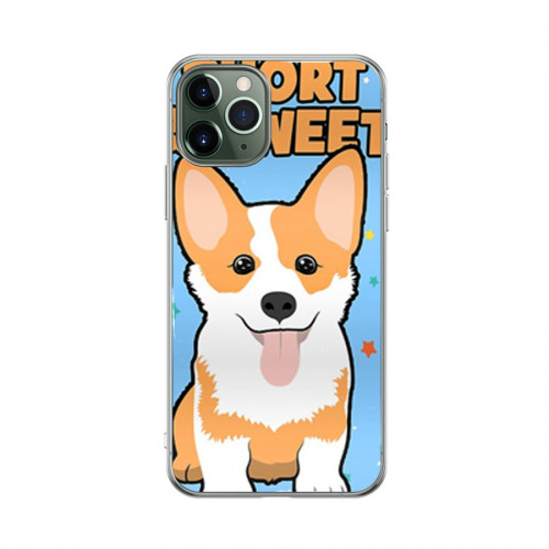 Short--Sweet-Corgi.jpg