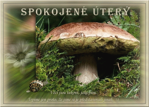 Spokojene-utery.gif