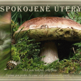 Spokojene-utery