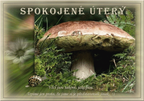 Spokojene-utery9c5261c7f743d99d.gif