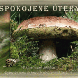 Spokojene-utery9c5261c7f743d99d