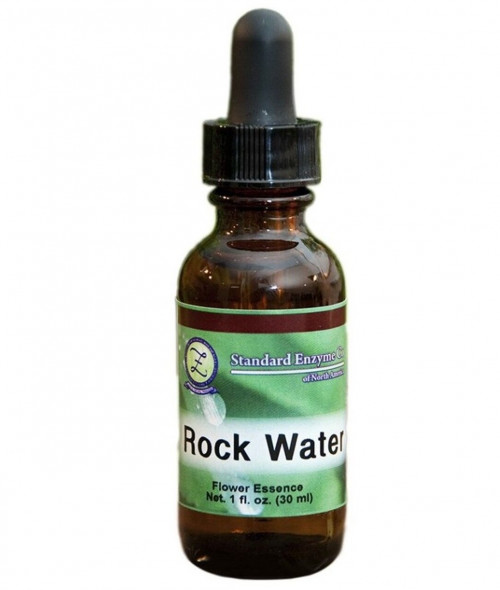 Standard-Enzyme-Rock-Water.jpg