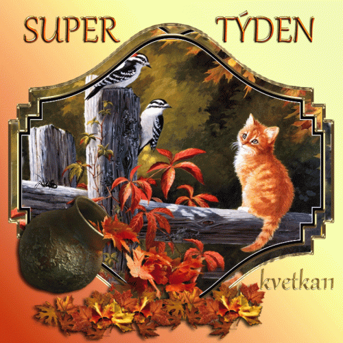Super-tyden.gif