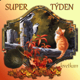 Super-tyden