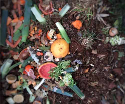 There are endless benefits of composting.  From saving the planet, to reducing carbon emissions, composting is one pf the best ways to go green! Start composting  and you can evolve the quality of what you can grow and eat in your life.