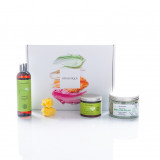 The-Matcha-Collection