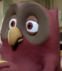 Tom-the-Owl.jpg