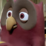 Tom-the-Owl