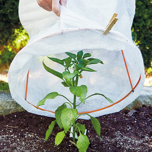 Instead of throwing away use these tomato cages to protect the plants from pests and weather vagaries. These giant stacks of Tomato Cages are the best for repurposing and to use for multiple purposes. https://www.gardengatemagazine.com/articles/how-to/all/4-ways-to-repurpose-tomato-cages