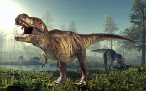 Tyrannosaurus rex Dinosaur 777x486