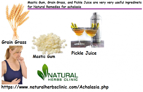 Mastic Gum, Grain Grass, and Pickle Juice are incredibly valuable components for utilized in Natural Remedies for Achalasia to get rid of it.... https://teletype.in/@naturalherbsclinic/natural-remedies-for-achalasia