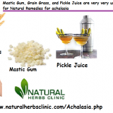 Utilize-Mastic-Gum-Grain-Grass-and-Pickle-Juice-in-Natural-Remedies-for-achalasia