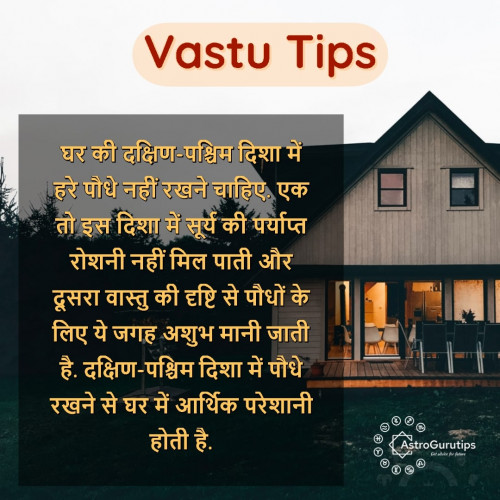 Vastu tips for Tree and Plants | भाग्य का साथ चाहते हैं तो ध्यान रखें पेड़-पौधों से जुड़ी बातें - https://www.astrogurutips.com/talk-to-astrologer