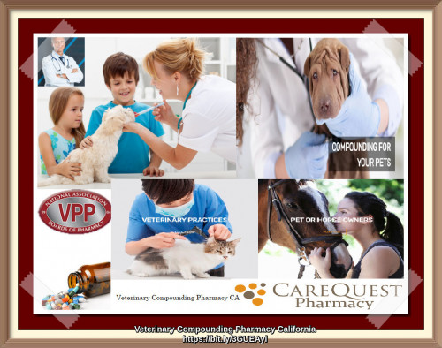 Veterinary-Compounding-Pharmacy-CA.jpg