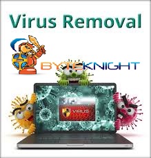 Virus-Removal-Experts-1146848b378cb330f.jpg