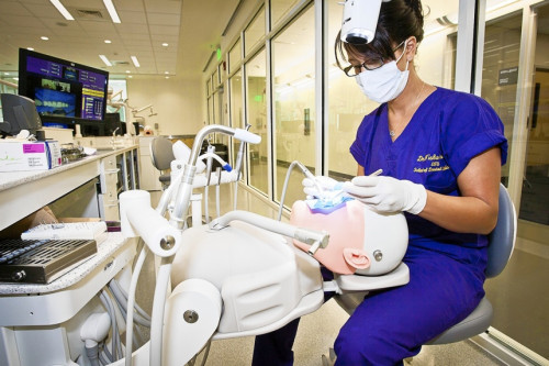 We are an accelerated dental assistant training school. Our school trains dental assistants in just 15 weeks to be ready to enter the dental field.

https://www.triangledentalassisting.com/