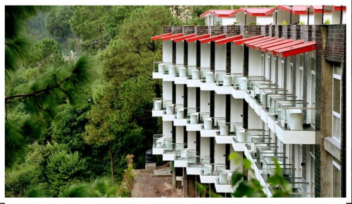 Wood-Creek-Resort--Spa-Kasauli.jpg