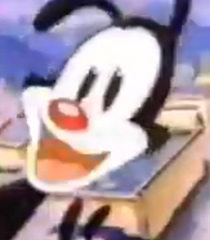 Yakko-Warner.jpg