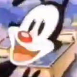 Yakko-Warner