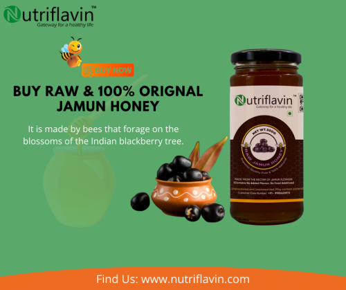 Bored of getting fake and low-quality raw honey. Try Nutriflavin 100% pure and raw Jamun honey made by bees that forage on the blossoms of the Indian blackberry tree. We have the full assurance of its Purity and rawness. Don’t Think twice just buy it: https://nutriflavin.com/product/jamun-honey/