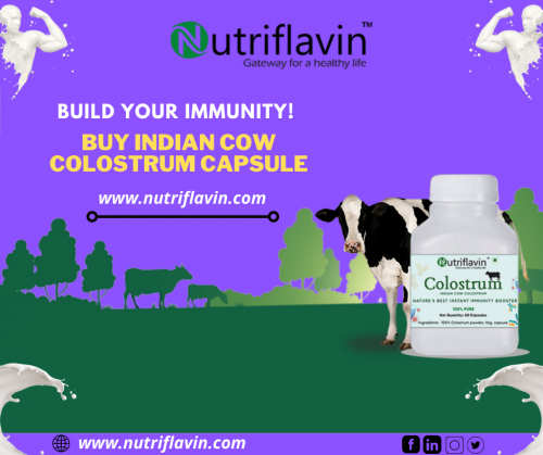 buy cow colostrum capsule