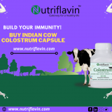 buy-cow-colostrum-capsule