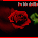 cce4718e13b4bb48e2f