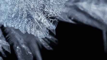 cold2.gif