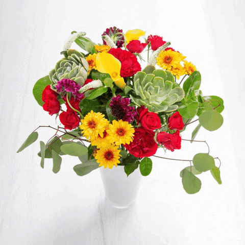 At Enjoy Flowers, we have a farm-to-front-door model for delivering fresh cut flowers to your dear ones. Subscribe to our services at exciting prices. Visit Enjoyflowers.com.