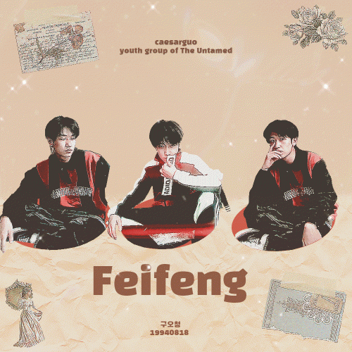 feifeng.gif